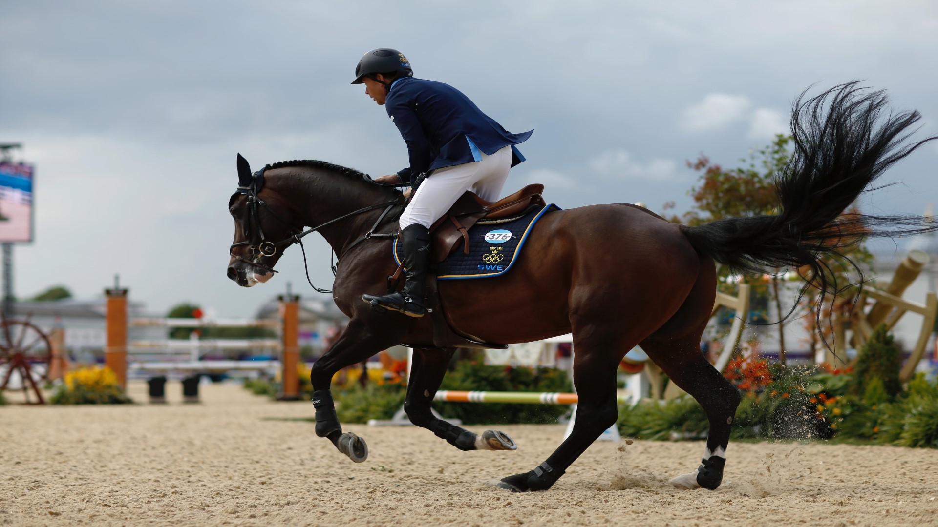 Rider on a horse during a competition.